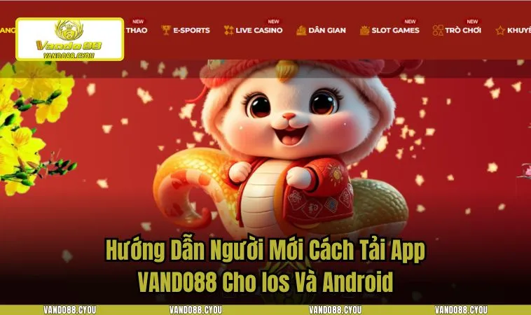 Khám Phá Vando88.ltd - Nơi Cung Cấp Giải Trí Đỉnh Cao